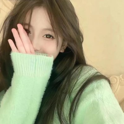 飞兔大联盟国语